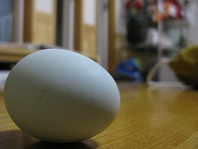 20080127卵2