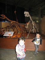 20080320恐竜2