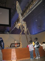 20080320恐竜3