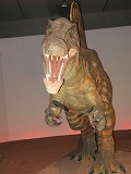 20080320恐竜7